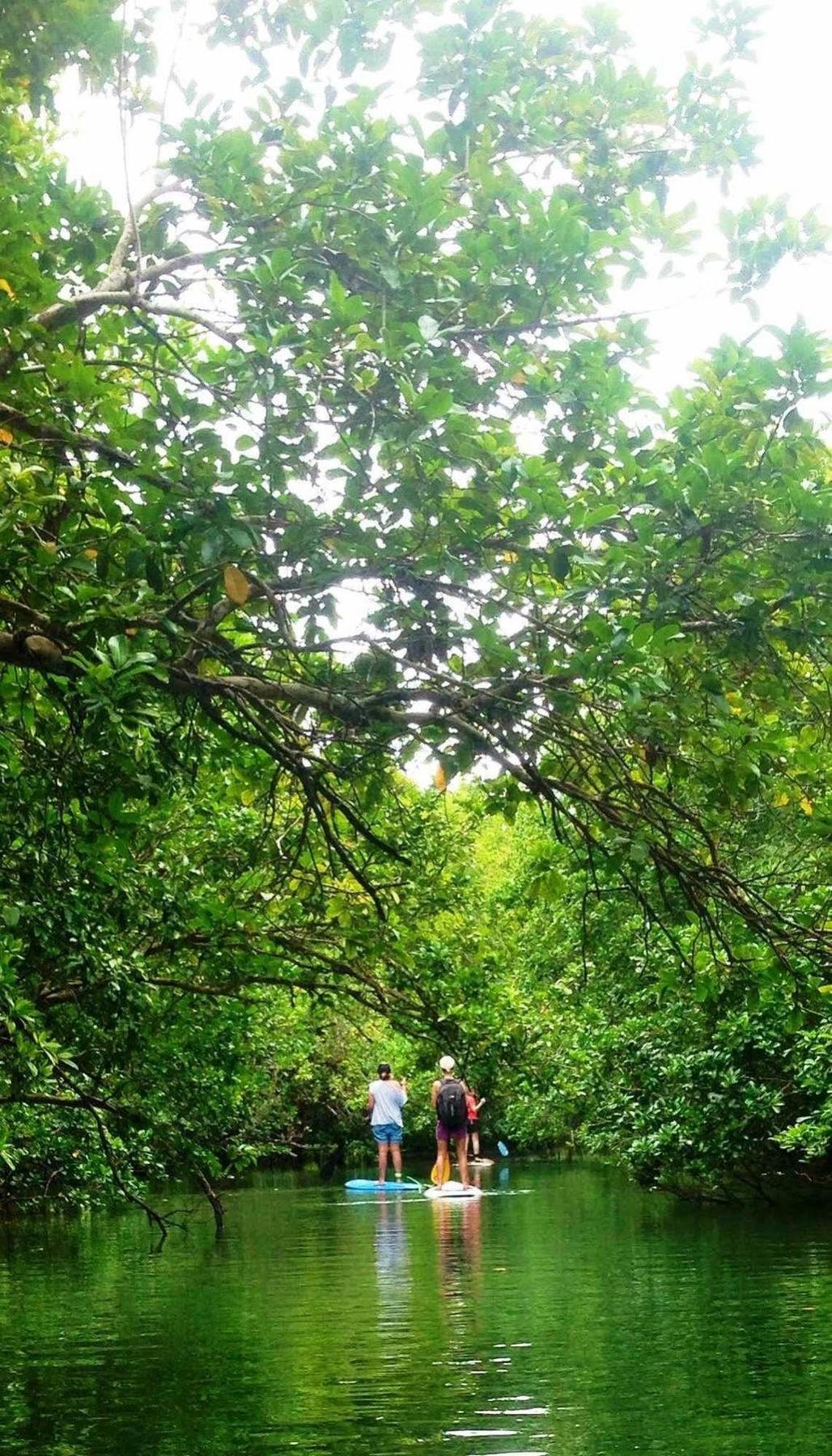 Naveria Heights Lodge Savusavu Luaran gambar